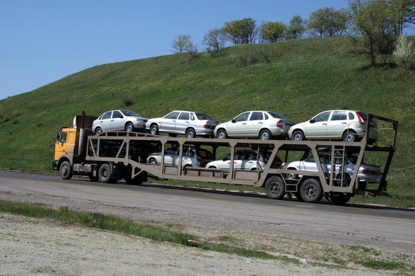 赤峰拉羊運輸公司電話地址查詢-第1張圖片