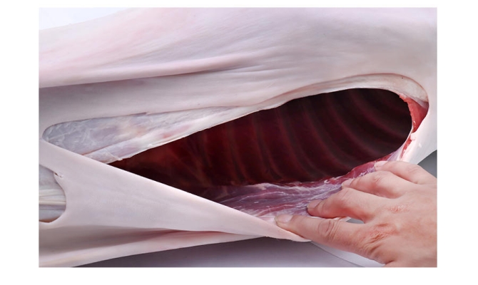 赤峰被子加工廠電話地址查詢-第1張圖片