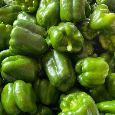 赤峰餐飲蔬菜批發(fā)電話地址查詢-第1張圖片