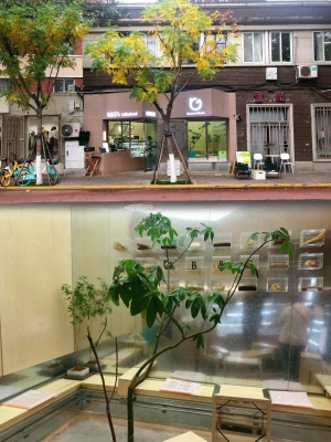 赤峰南?？Х鹊觌娫捥柎a-第1張圖片