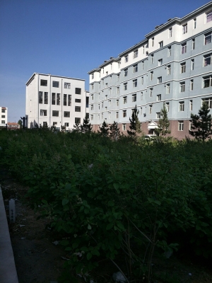 赤峰農村孤兒院電話查詢號碼-第1張圖片