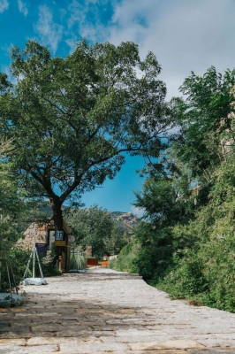 赤峰樸宿別院電話號(hào)碼查詢-第1張圖片