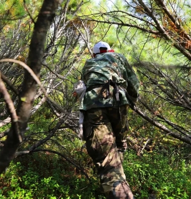 赤峰賣松子的電話是多少號-第1張圖片