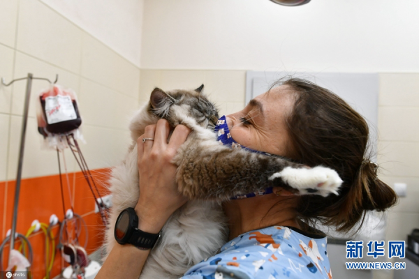 赤峰獸醫(yī)診所電話多少號(hào)碼-第1張圖片