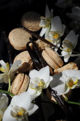 赤峰馬卡龍店鋪電話地址查詢-第1張圖片