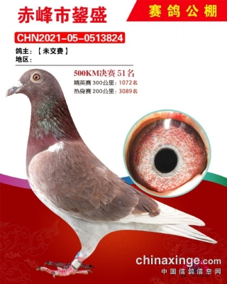 赤峰文物拍賣中心地址電話號碼-第1張圖片