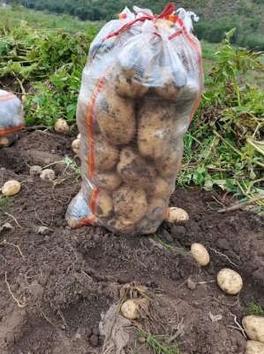 赤峰土豆?jié)菜畽C廠家電話號碼-第1張圖片