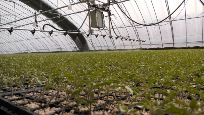 赤峰沙坨子市場地址電話號碼-第1張圖片