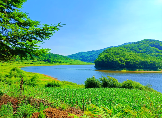 內(nèi)蒙赤峰順澤物流電話號(hào)碼-第1張圖片