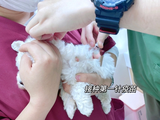 赤峰接種第二針疫苗電話號碼-第1張圖片