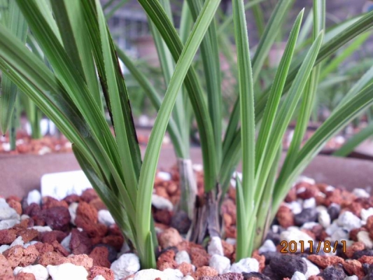 赤峰蘭炭經(jīng)銷處電話號(hào)碼-第1張圖片