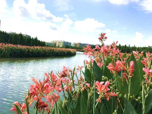 赤峰興虹水族館電話號碼-第1張圖片