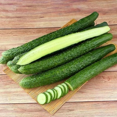 赤峰雨潤蔬菜代銷商電話號碼-第1張圖片