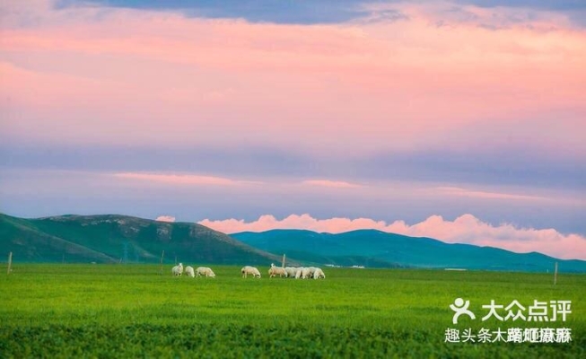 赤峰草原咖啡廳地址電話(huà)號(hào)碼-第1張圖片