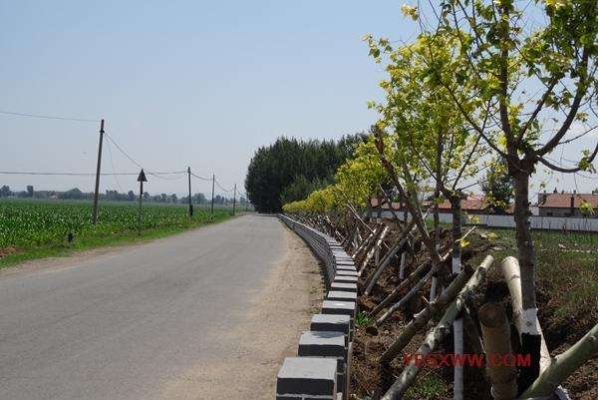 赤峰隨家窩鋪電話號碼查詢-第1張圖片