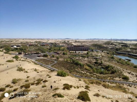 內(nèi)蒙赤峰翁牛特旗信鴿協(xié)會-第1張圖片