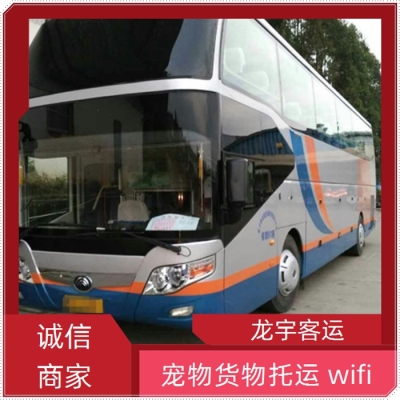 赤峰到威?？蛙囯S車電話號(hào)碼-第1張圖片