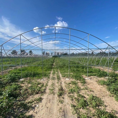 赤峰大棚骨架實體廠家電話號碼-第1張圖片