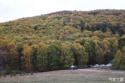 赤峰樹林服裝廠電話地址查詢-第1張圖片