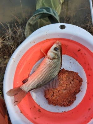 赤峰魚樂圈垂釣中心電話號碼-第1張圖片