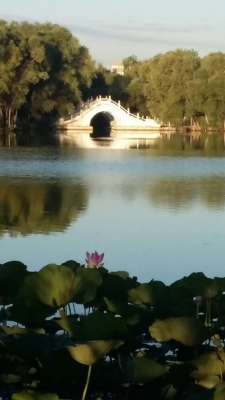 赤峰紅山區(qū)宴會(huì)酒店電話號(hào)碼-第1張圖片