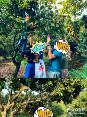 赤峰柿子塑料筐廠家電話(huà)號(hào)碼-第1張圖片