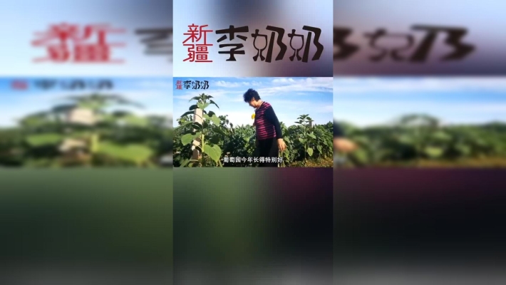 赤峰采摘西瓜葡萄園電話號碼-第1張圖片