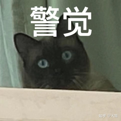 赤峰抓流浪貓領(lǐng)養(yǎng)電話號(hào)碼-第1張圖片