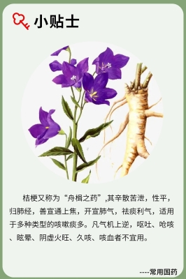 赤峰牛營(yíng)子桔梗最新價(jià)格-第1張圖片