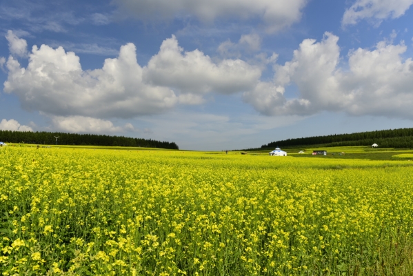 赤峰寧城土產(chǎn)公司電話多少號(hào)-第1張圖片