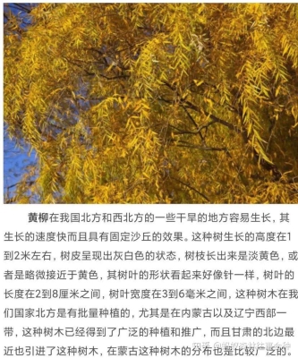 赤峰求購(gòu)苗木市場(chǎng)電話多少號(hào)-第1張圖片