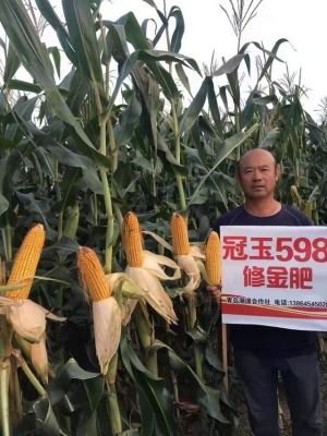 赤峰玉米合作社電話地址查詢-第1張圖片