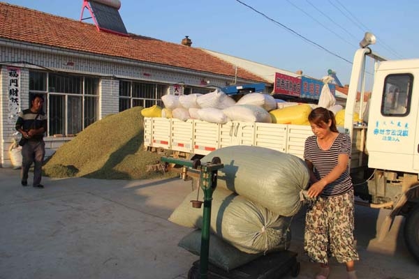 赤峰收購油菜桿電話地址查詢-第1張圖片