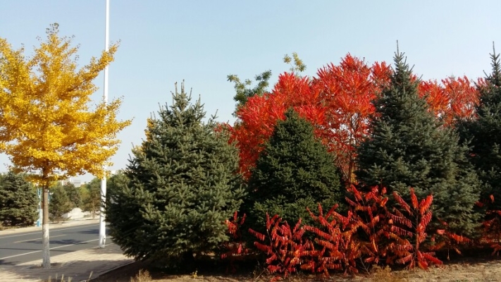 赤峰迷藏破案館電話(huà)號(hào)碼查詢(xún)-第1張圖片