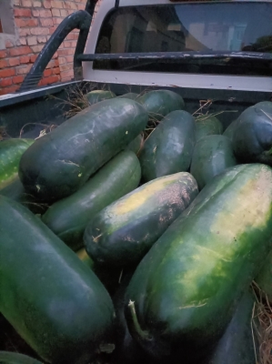 赤峰普發(fā)超市地址電話號碼-第1張圖片