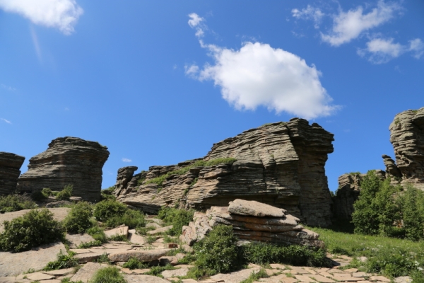赤峰國(guó)際賽馬會(huì)地址電話號(hào)碼-第1張圖片