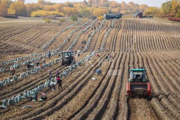 赤峰卸車機(jī)加工廠電話號(hào)碼-第1張圖片