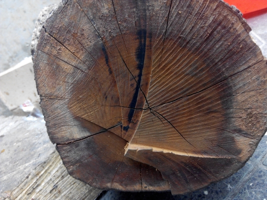 赤峰公園彈弓專賣店電話號碼-第1張圖片