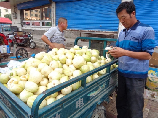 赤峰紅山花草市場(chǎng)電話號(hào)碼-第1張圖片