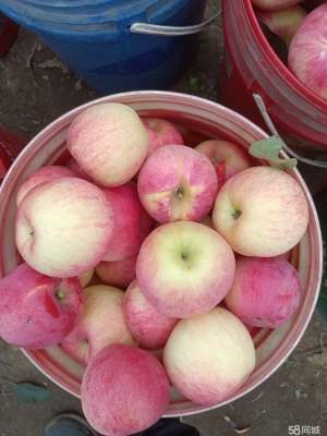 赤峰鍘草揉絲機(jī)出售電話地址-第1張圖片