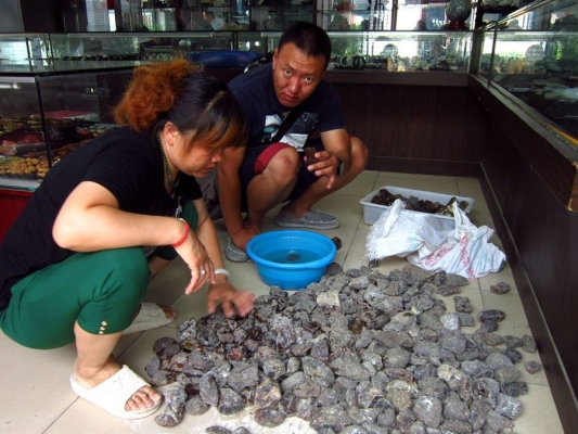 赤峰大板古玩城地址電話號碼-第1張圖片