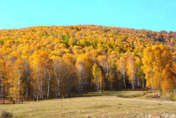 赤峰改裝踏板店電話號碼多少-第1張圖片