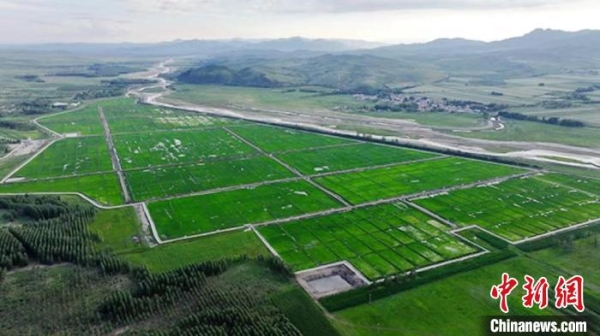 赤峰河道防護網(wǎng)安裝電話號碼-第1張圖片