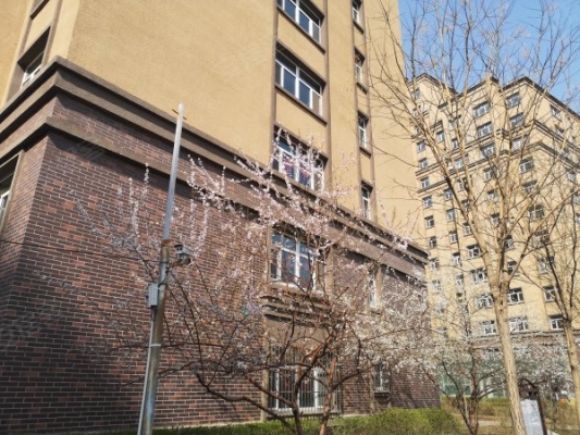 赤峰河畔幼兒園地址電話號碼-第1張圖片