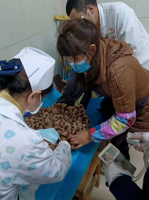 赤峰狗狗正骨醫(yī)院地址電話號(hào)碼-第1張圖片