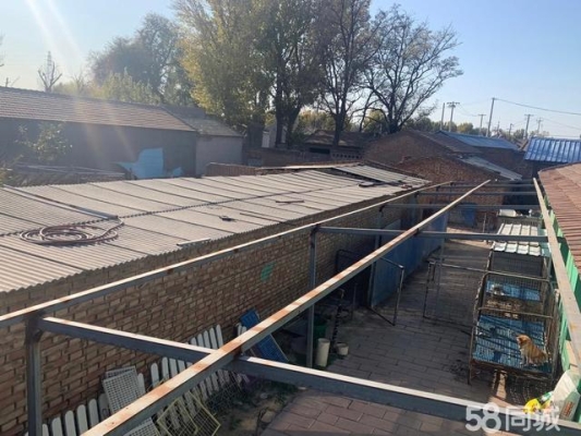 赤峰大院出租同城電話多少號-第1張圖片