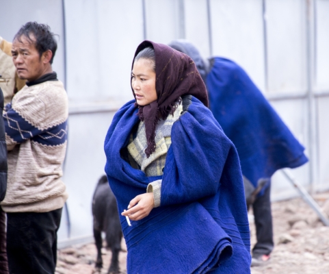 赤峰市牛馬市場電話號碼-第1張圖片