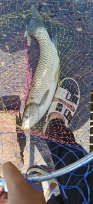 赤峰市釣魚地方推薦電話是多少-第1張圖片