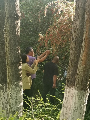 赤峰城區(qū)園林綠化局電話號(hào)碼-第1張圖片