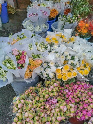 赤峰小雛菊商家電話地址查詢-第1張圖片